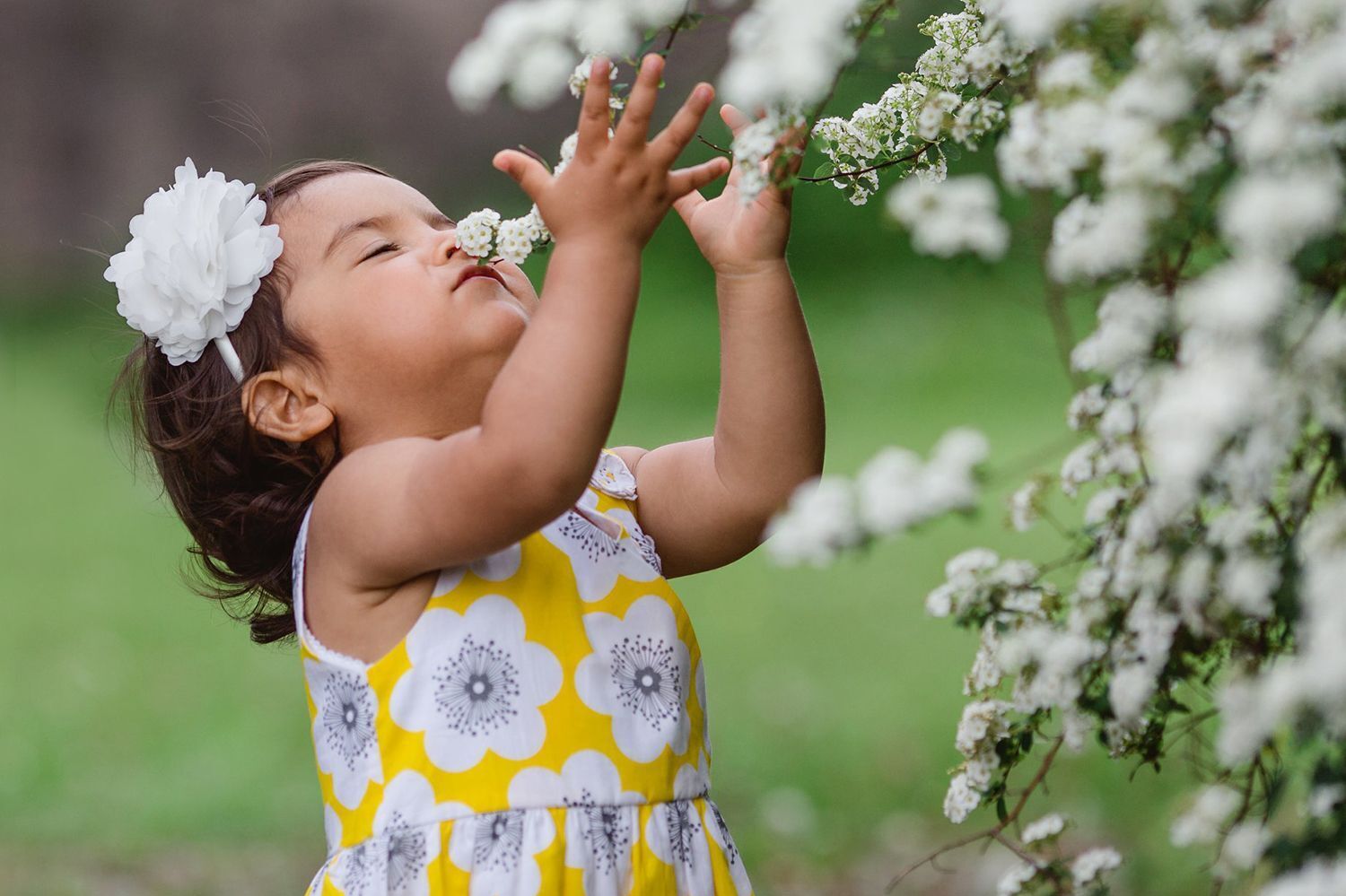 A child at a bush